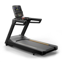 Endurance Treadmill